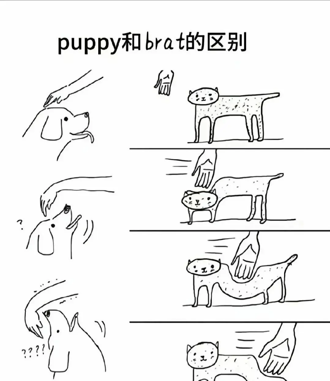 大圈 - 微信图片_2025-11-13_180940_765