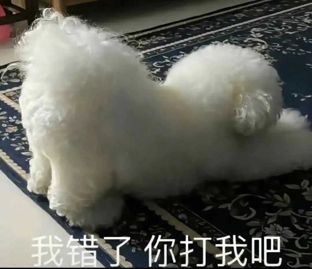 西檬之家-斯慕圈入门指南：理解BDSM文化核心术语