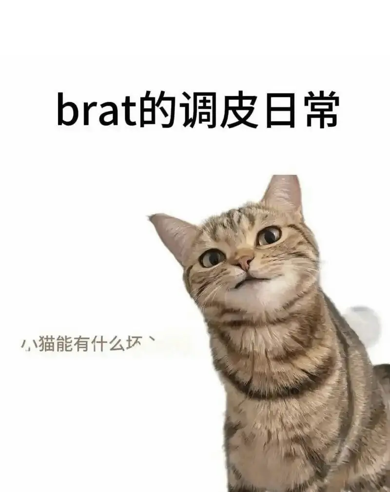 西檬之家-Dirt Talk是什么？字母圈新人入圈