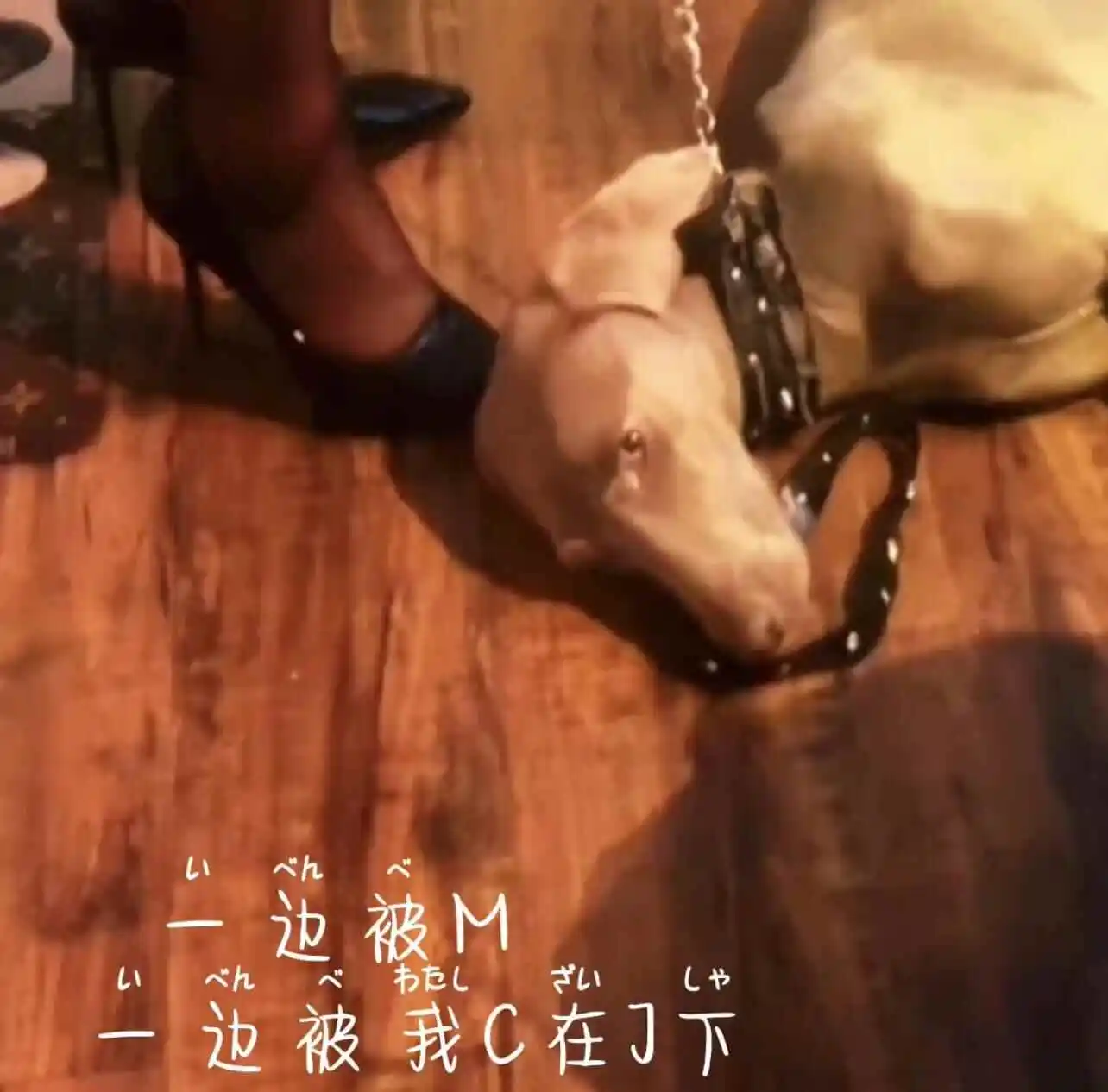 女王：实用指南
