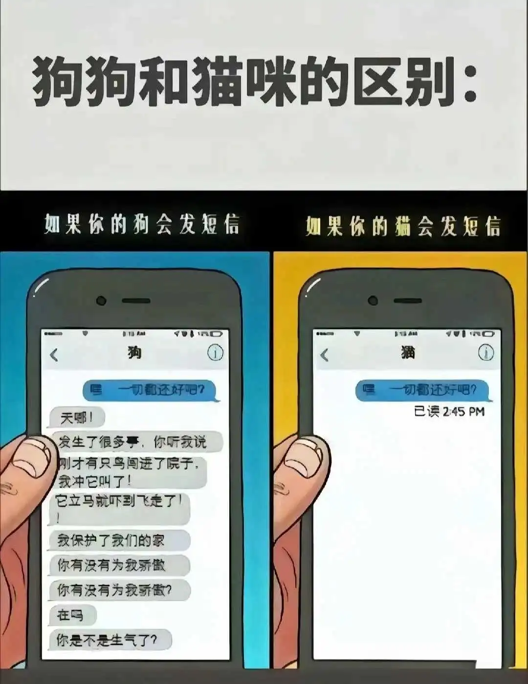 西檬之家-新人入圈必读：从基础术语到深度实践，轻松开启你的字母圈旅程