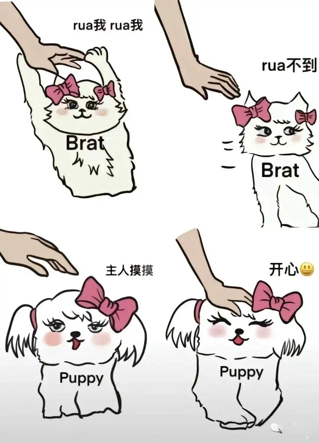【西檬之家】斯慕圈新人入圈指南：从零开始了解BDSM术语与文化