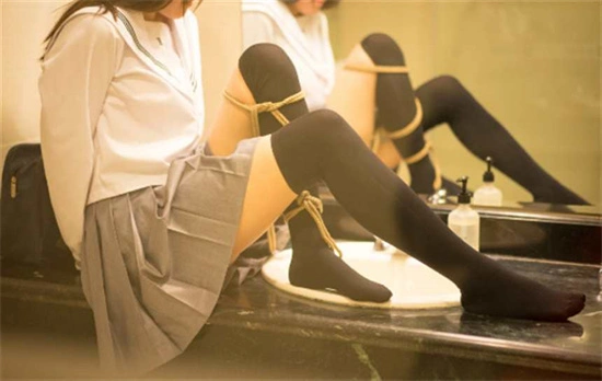 Dom - 12331