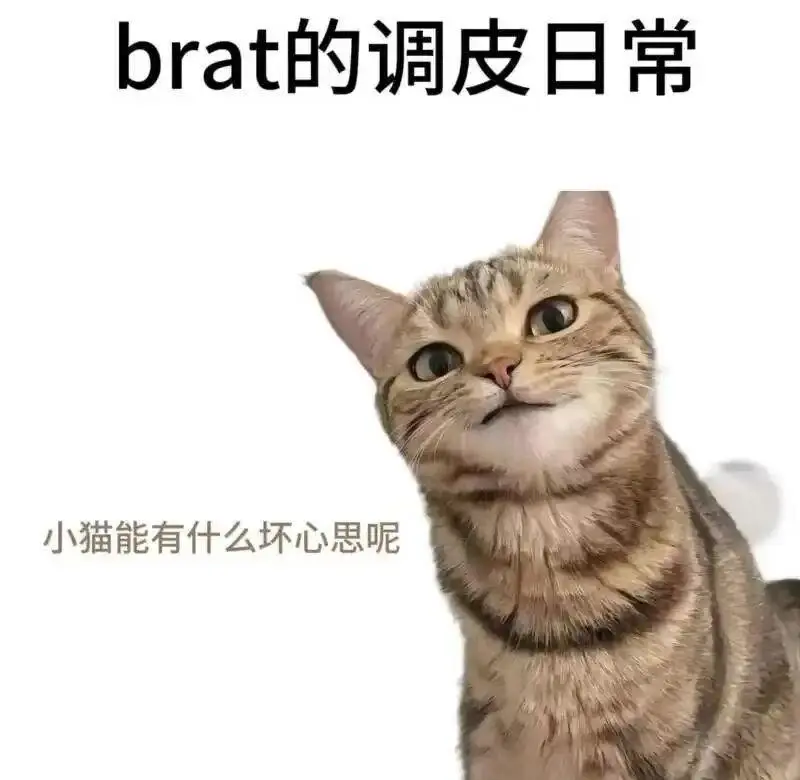 西檬之家，认识字母圈的十个基础术语：从新人必备到进阶实践