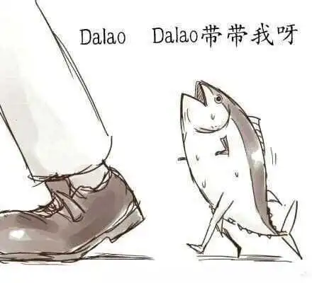 k9犬系 - 2024_01_02_21_17_IMG_9501
